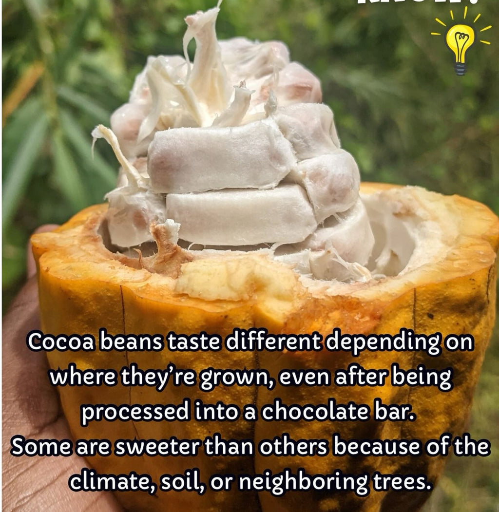 Vincentian Chocolate Cocoa Butter 40z