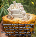 Vincentian Chocolate Cocoa Butter 40z